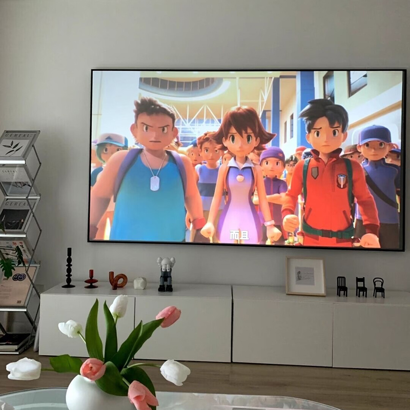Écran de projection ALR 3D Nan - Home Cinema Projector Screen avis et prix