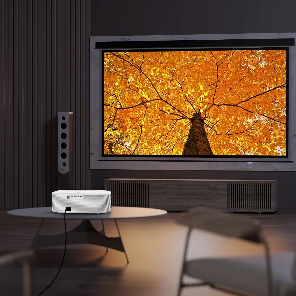Projecteurs LCD de haute quali - Home Cinema Projector Screen avis et prix