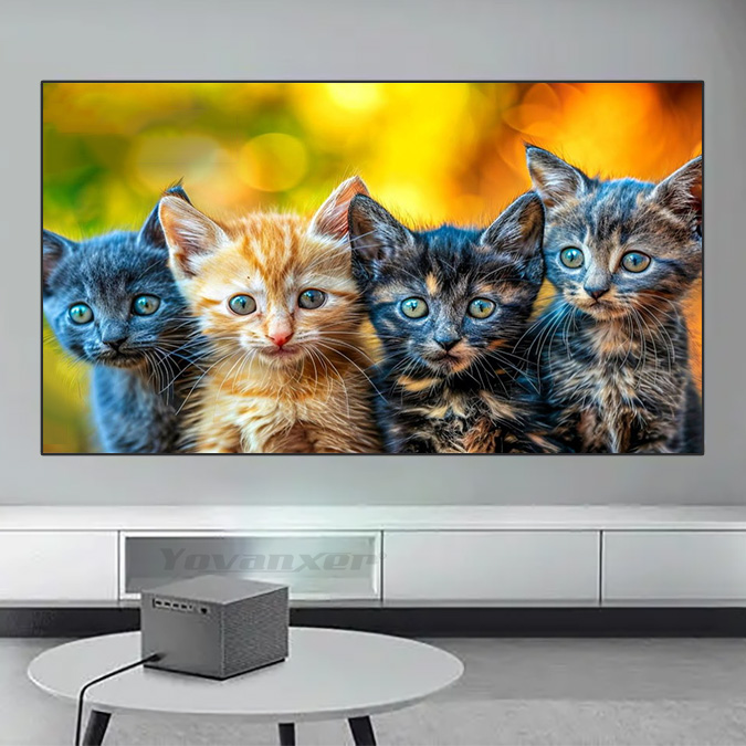 Écran Yovanxer Black Diamond A - Home Cinema Projector Screen avis et prix